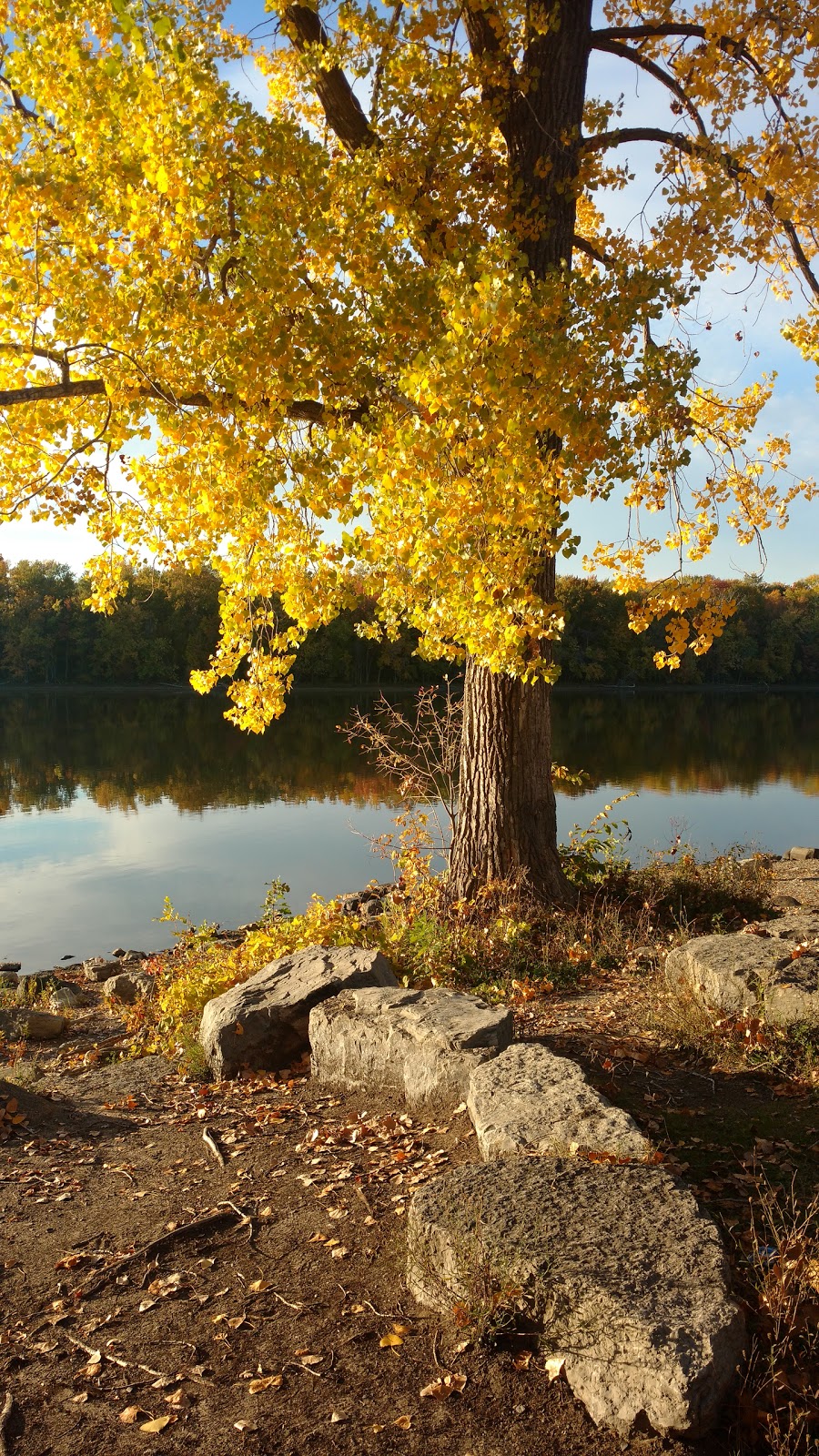 Berge de la Plage-Idéal | Laval, QC H7H 1Y1, Canada | Phone: (450) 978-8000