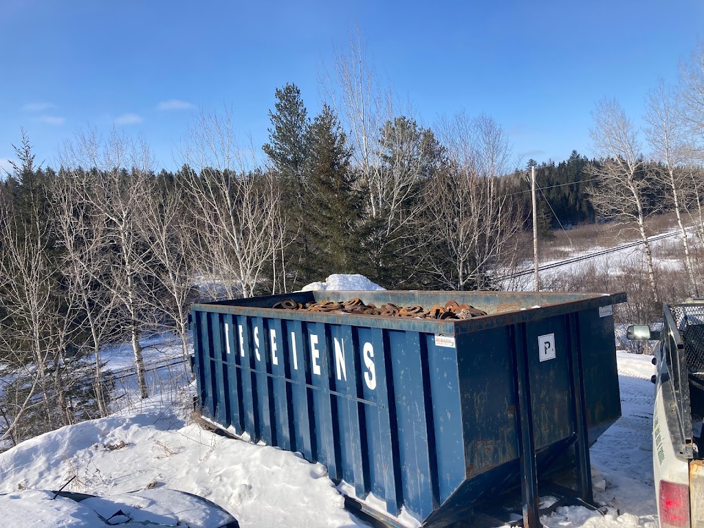 Recyclage Éric Desbiens | 285 Bd du Royaume, Larouche, QC G0W 1Z0, Canada | Phone: (418) 547-4845