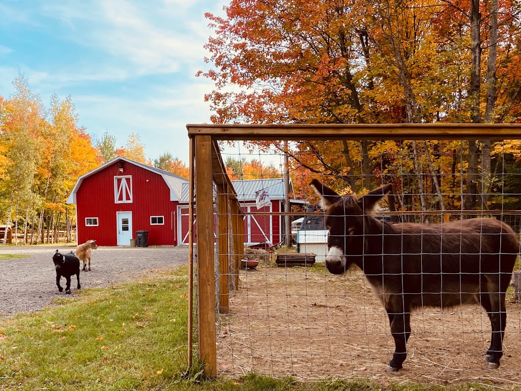 Zoothérapie Véro et ses animaux à Lanaudière | 1676 Chem. de la Côte Georges, Mascouche, QC J7K 3C2, Canada | Phone: (514) 863-5560