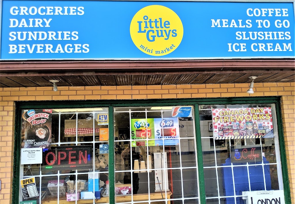 Little Guys Mini Market | 1798 Longwoods Rd, Wardsville, ON N0L 2N0, Canada | Phone: (519) 693-9400