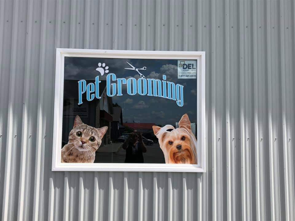 The Rural Pet sPAW | 400 W Front St. Bldg #10, Stirling, ON K0K 3E0, Canada | Phone: (343) 261-4388