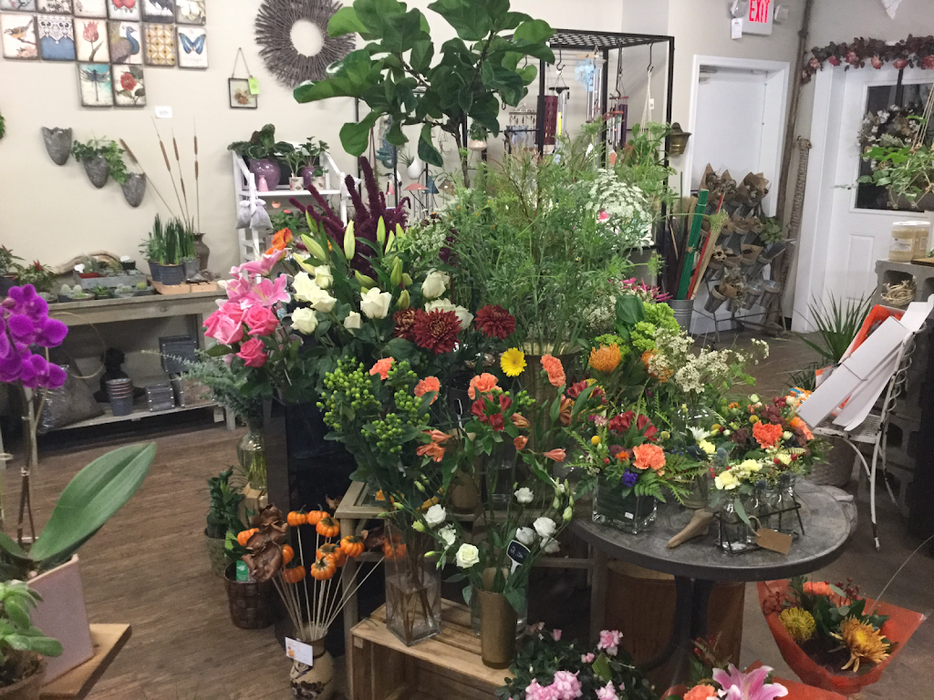 Willow Florists | 401 Dollarton Hwy N, North Vancouver, BC V7G 1M9, Canada | Phone: (604) 988-6290