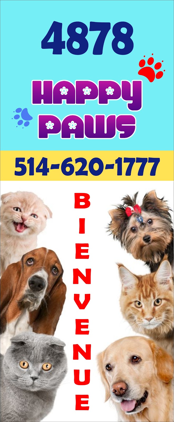 Happy Paws | 4878 Bd Saint-Charles, Pierrefonds - Roxboro, QC H9H 3E2, Canada | Phone: (514) 620-1777