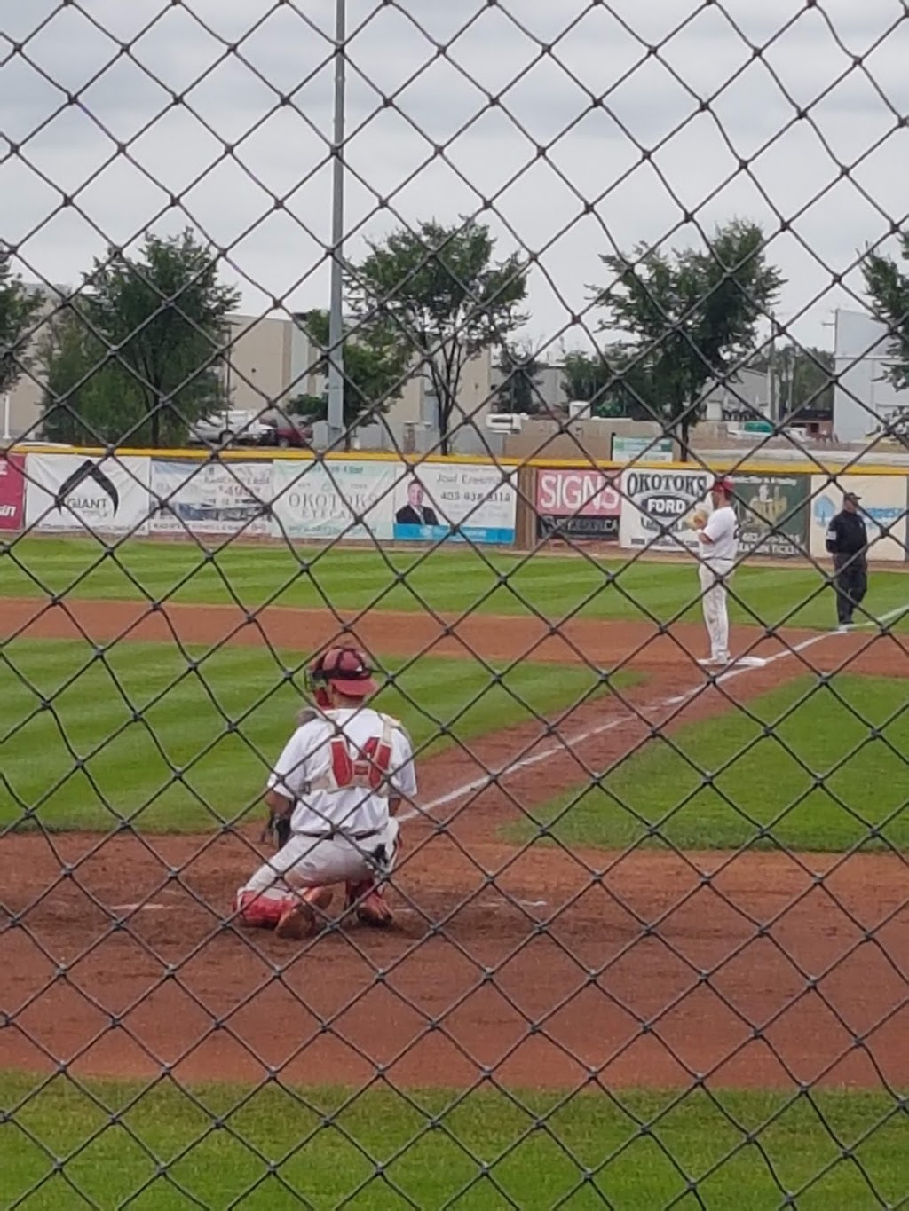 Okotoks Dawgs | 256 Don Seaman Way, Okotoks, AB T1S 1A5, Canada | Phone: (403) 262-3294