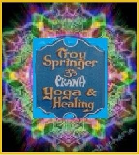 Troy Springer Yoga | 11 Dale St, Bancroft, ON K0L 1C0, Canada | Phone: (613) 332-9883