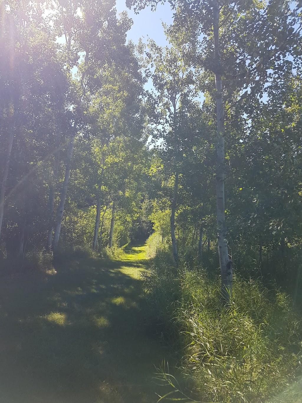 Boyne Valley trail | Treherne, MB R0G 2V0, Canada | Phone: (204) 723-2044