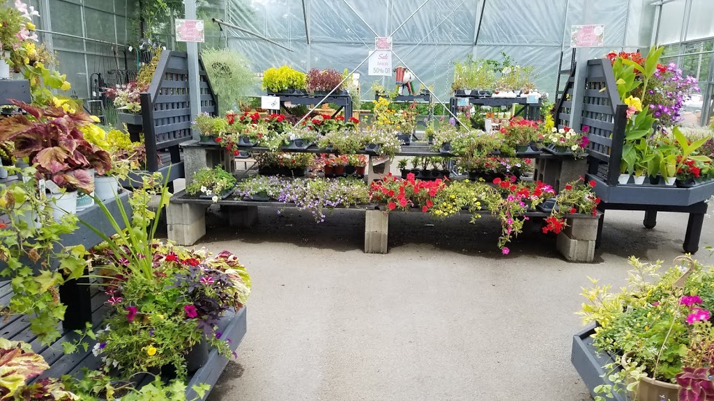 Mastersons Garden Center, Inc. | 725 Olean Rd #9781, East Aurora, NY 14052, USA | Phone: (716) 655-0133