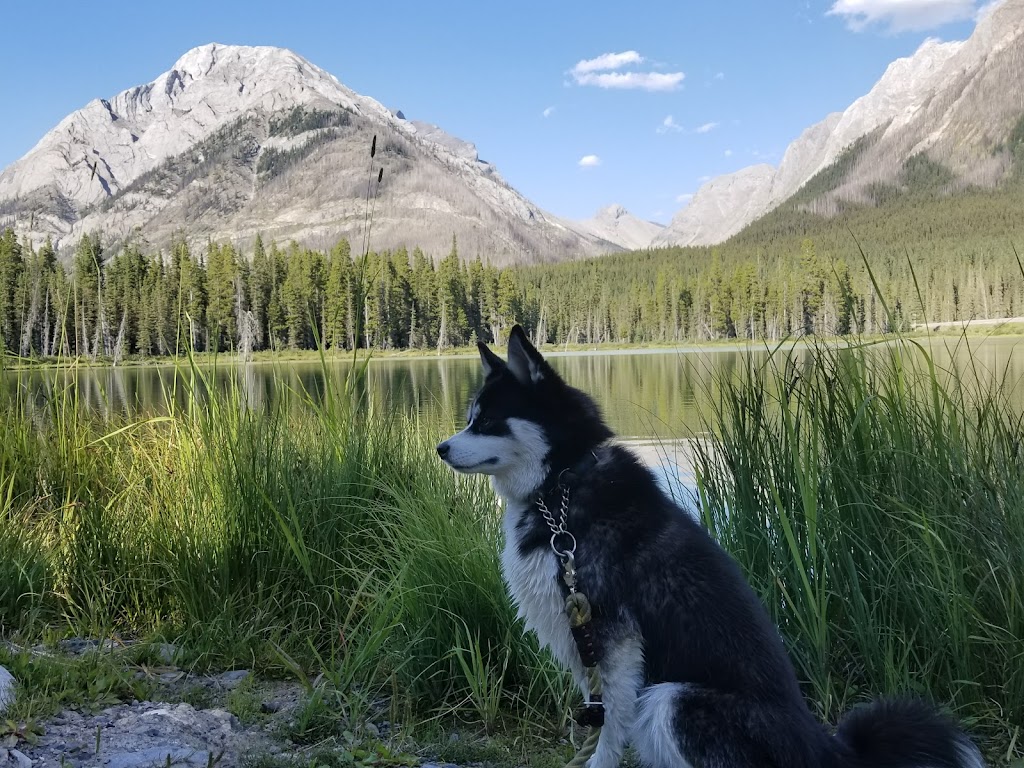 Buller Mountain Day Use | Spray Valley Provincial Park - Kananaskis Country, Alberta T0L 2C0, Canada | Phone: (403) 678-0760