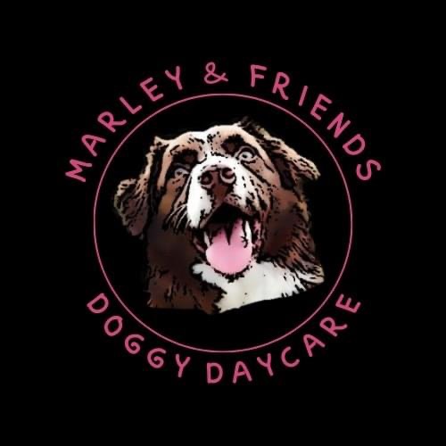 Marley and Friends Doggy Daycare | 12 Rooney Crescent, Moncton, NB E1E 4M3, Canada | Phone: (506) 871-4468