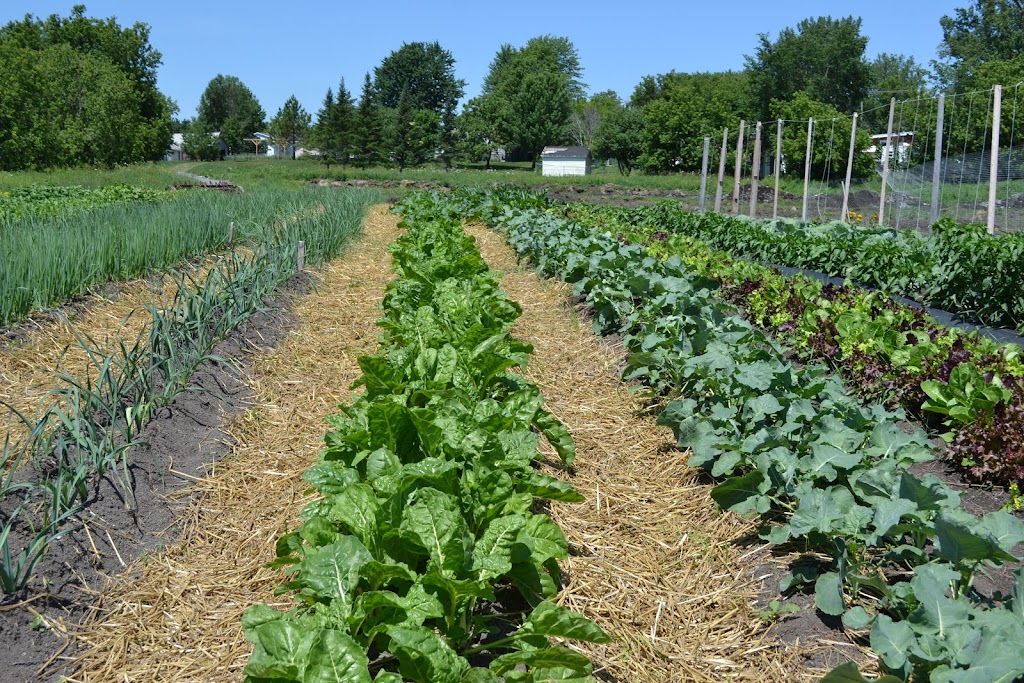 Les frères de terre | 19526 Chem. de la Côte N, Mirabel, QC J7J 2B6, Canada | Phone: (438) 837-4225