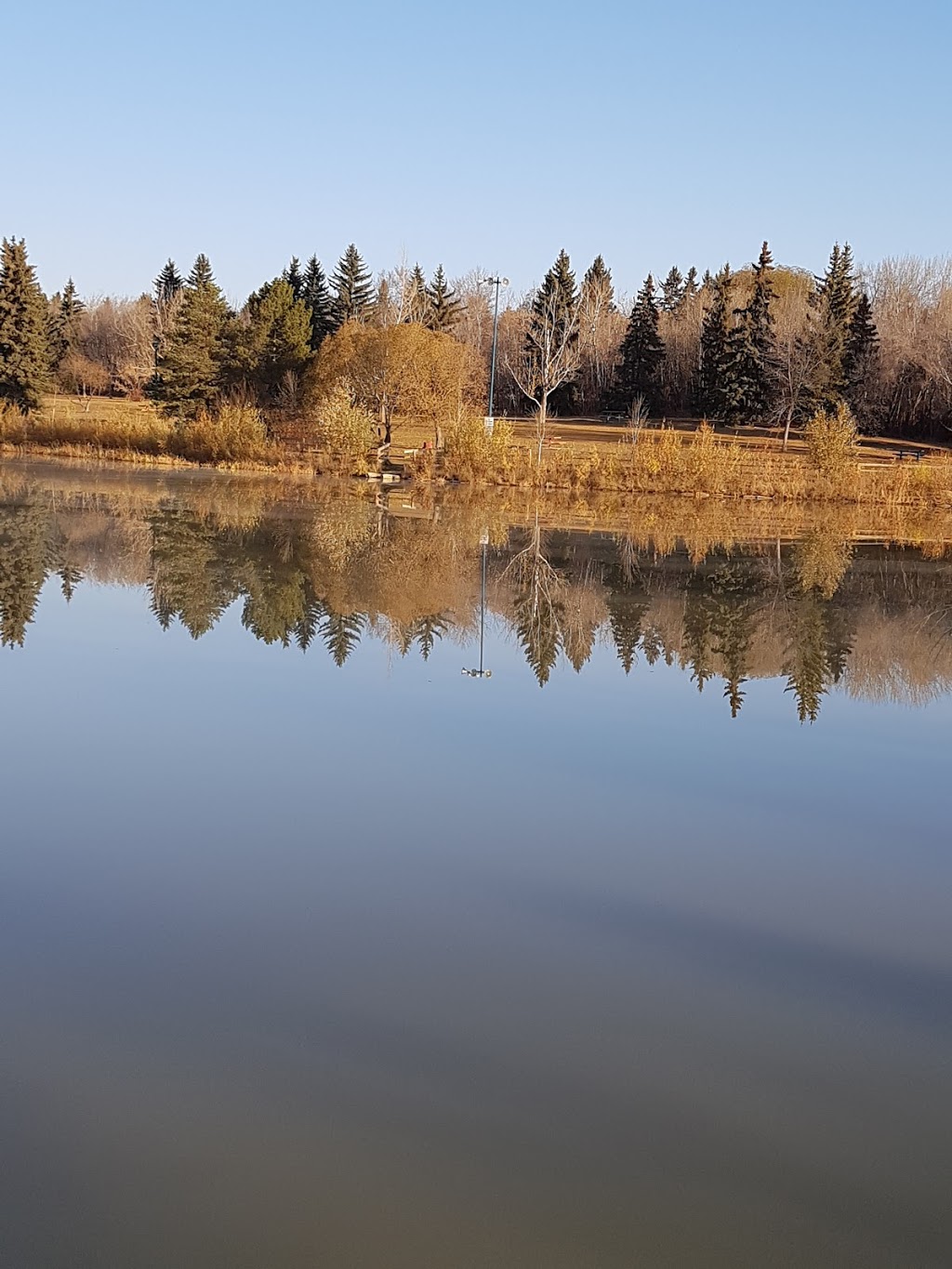 Lacombe Lake Dog Park | 151 McKenney Ave, St. Albert, AB T8N 2T7, Canada | Phone: (780) 458-7700