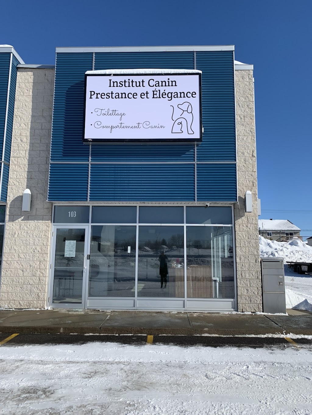 Institut canin prestance et élégance | 675 Rte du Président-Kennedy #103, Lévis, QC G6C 1E1, Canada | Phone: (581) 984-8760