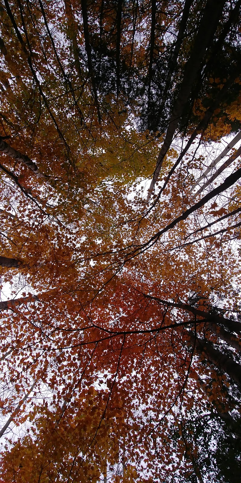 Seaton Trail | Seaton Hiking Trail, Pickering, ON L0H, Canada