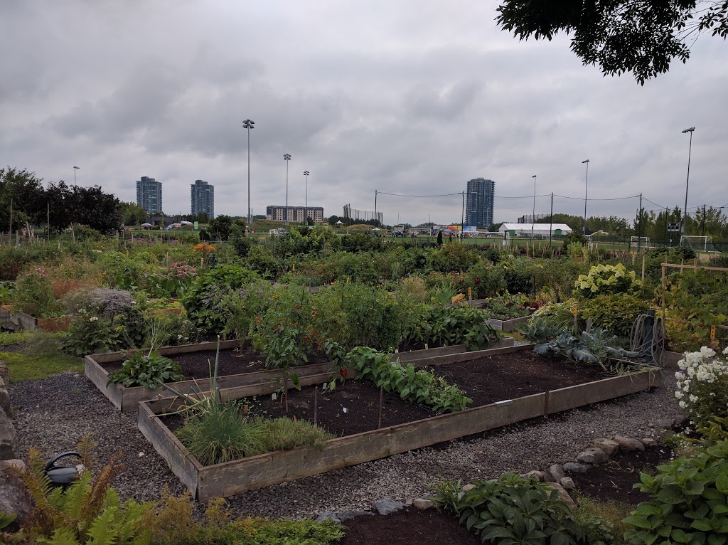 Local Community Gardens | 452 Chemin du Club Marin, Verdun, QC H3E 1V9, Canada | Phone: (514) 765-7270