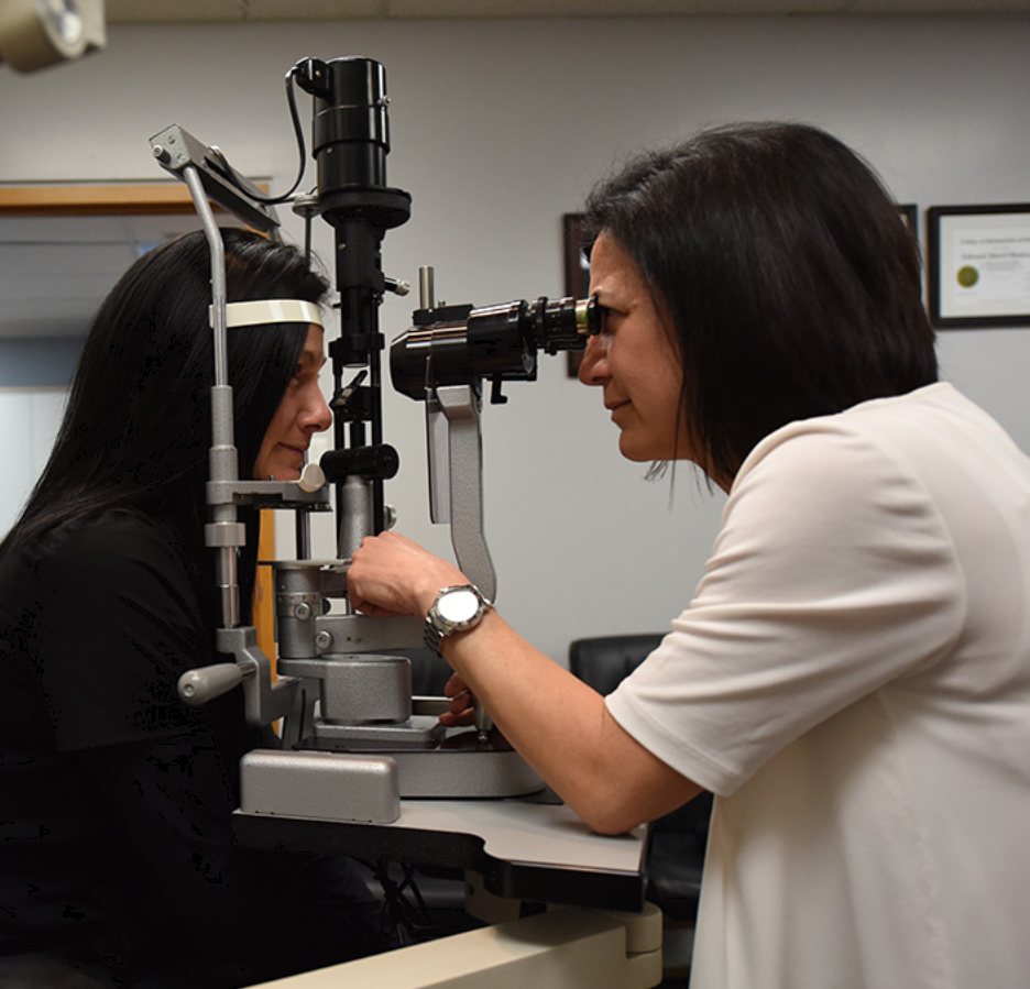 Stoney Creek Optometry & Eye Care Clinic | Professional Arts Building, 980 Queenston Rd Suite 202, Stoney Creek, ON L8G 1B9, Canada | Phone: (905) 664-5949