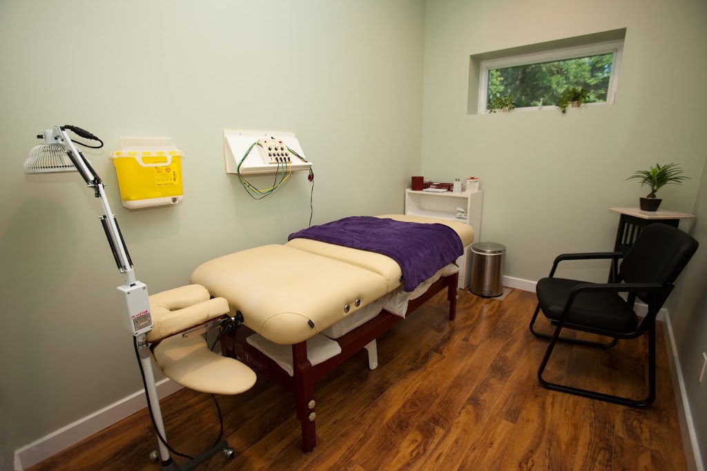 The Centre Of Integrative Natural Medicine | 3 Badenoch St, Morriston, ON N0B 2C0, Canada | Phone: (519) 763-6340