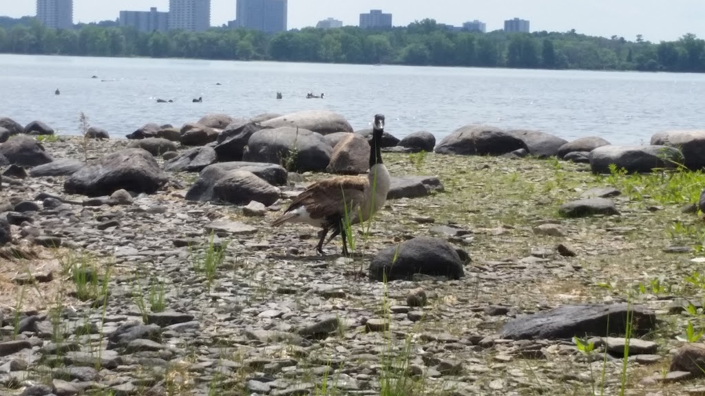 Parc Moussette | 361 Boulevard de Lucerne, Gatineau, QC J9A, Canada