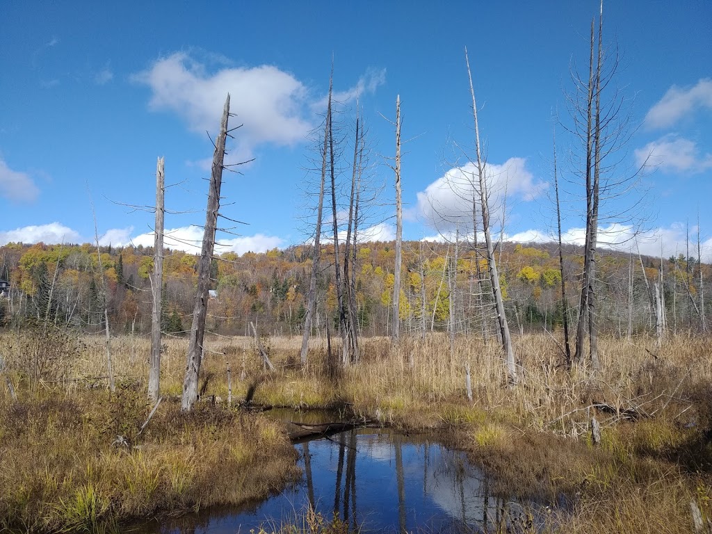 Parc du Mont-Loup-Garou | 1381 Boulevard de Sainte-Adèle, Sainte-Adèle, QC J8B 1A3, Canada | Phone: (450) 229-2921