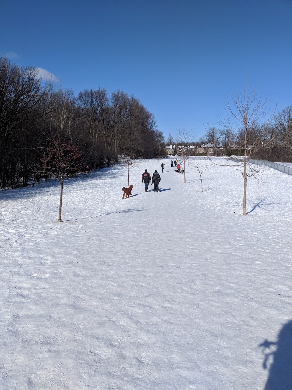 Beaconsfield Dog Park | 521 Av Elm, Beaconsfield, QC H9W 6E4, Canada