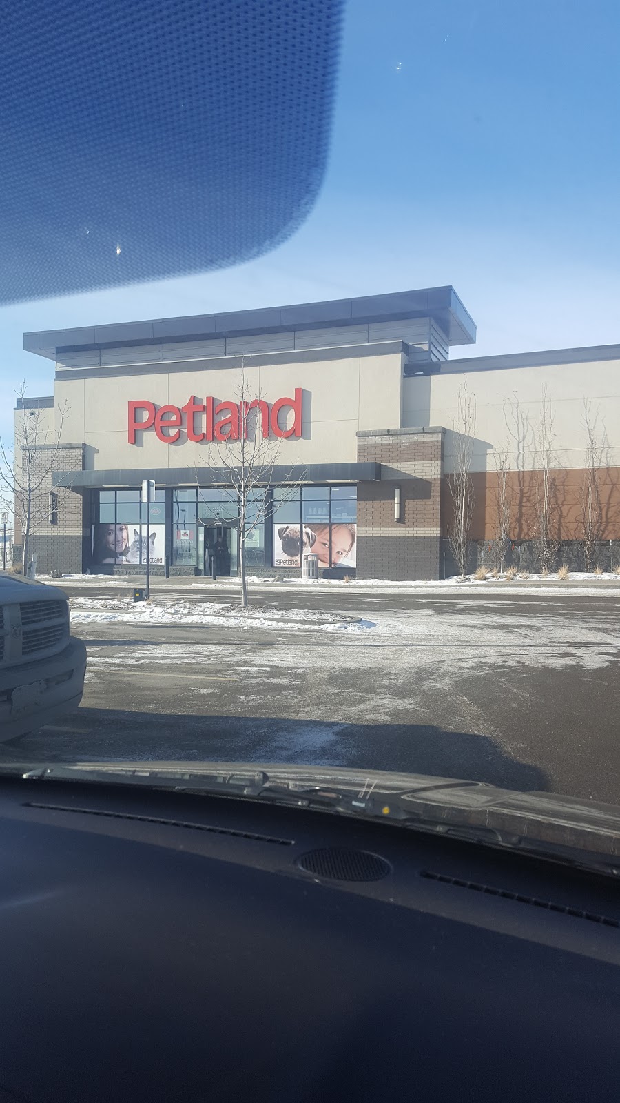 Petland Manning | 15526 37 St NW, Edmonton, AB T5Y 0S5, Canada | Phone: (780) 475-5399