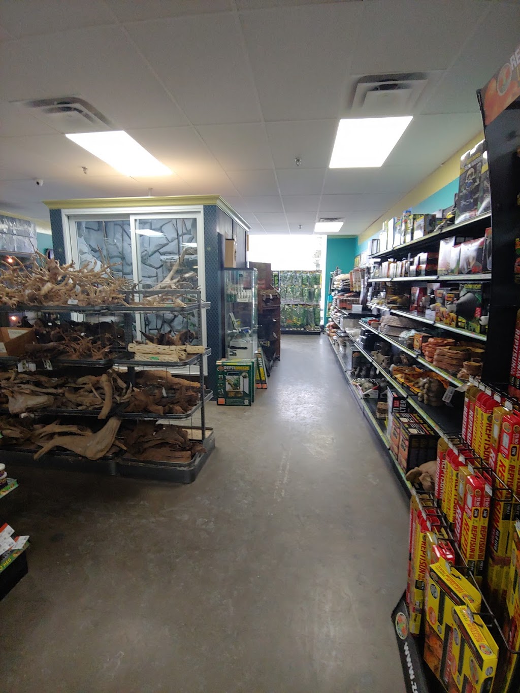 All Reptiles | 99-1911 Kennedy Rd, Scarborough, ON M1P 2L9, Canada | Phone: (647) 343-0669