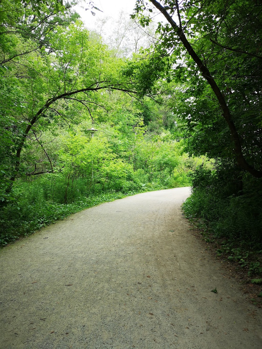 Cedarvale Park Dogs Off-Leash Area | 443 Arlington Ave, York, ON M6C 3A2, Canada | Phone: (416) 392-2489