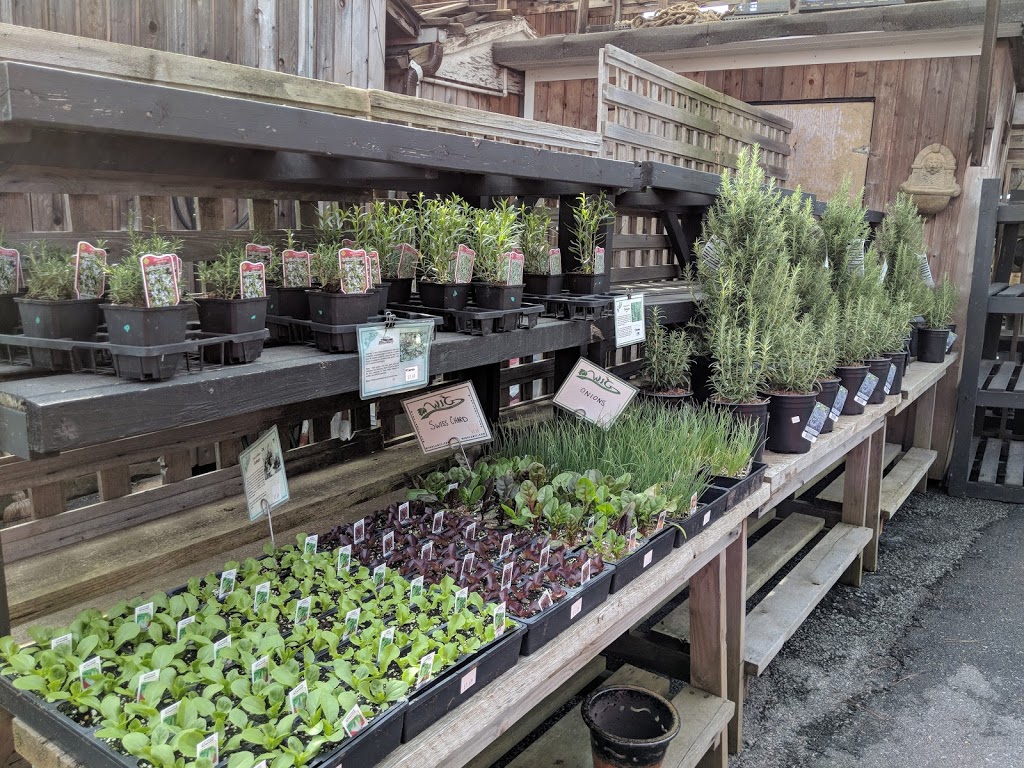 Western Independent Greenhouse: WIG Garden Centre | 6151 Thorne Ave, Burnaby, BC V3N 2T8, Canada | Phone: (604) 521-3138