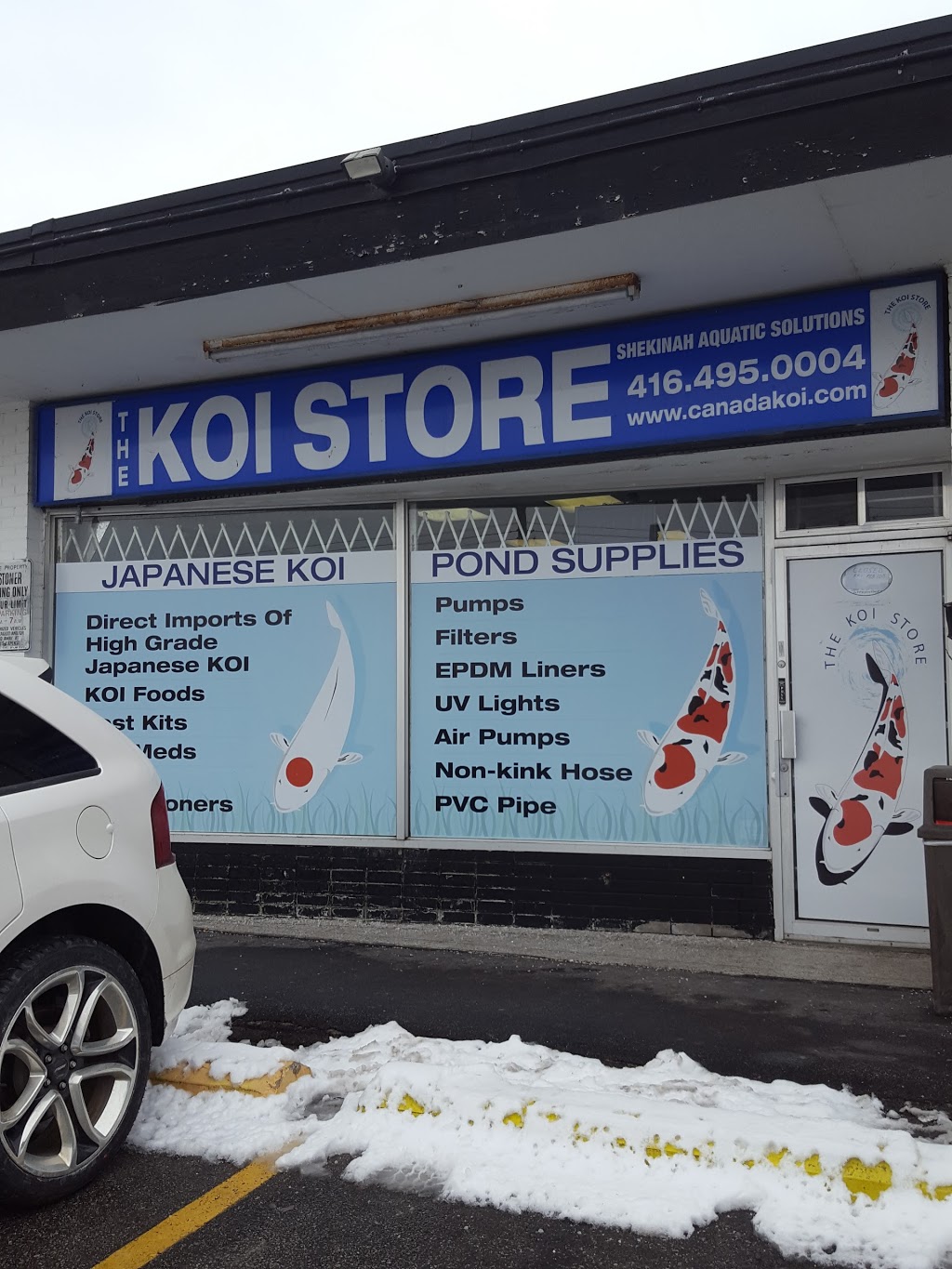 The Koi Store | 1241 Ellesmere Rd, Scarborough, ON M1P 2X4, Canada | Phone: (416) 495-0004