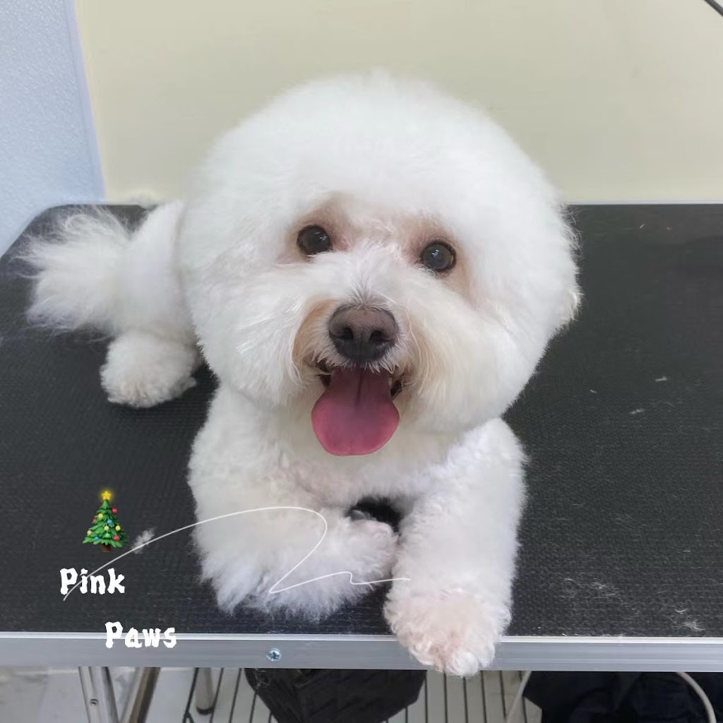 Pink Paws Pets Grooming | 900 Rathburn Rd W, Mississauga, ON L5C 4L2, Canada | Phone: (647) 686-1355