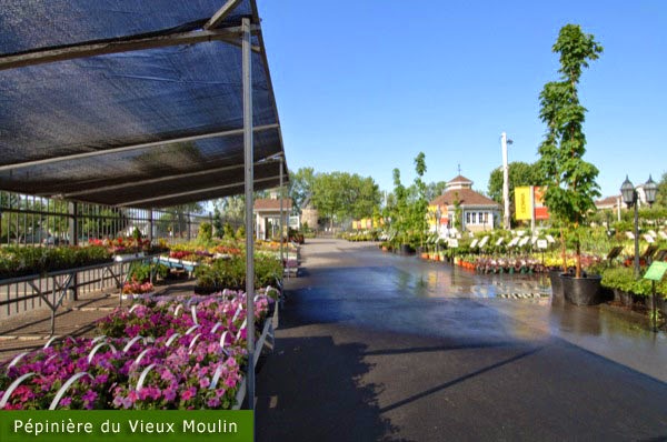 PEPINIERE DU VIEUX MOULIN | 883 Rue Notre-Dame, Repentigny, QC J5Y 1C6, Canada | Phone: (450) 654-6989