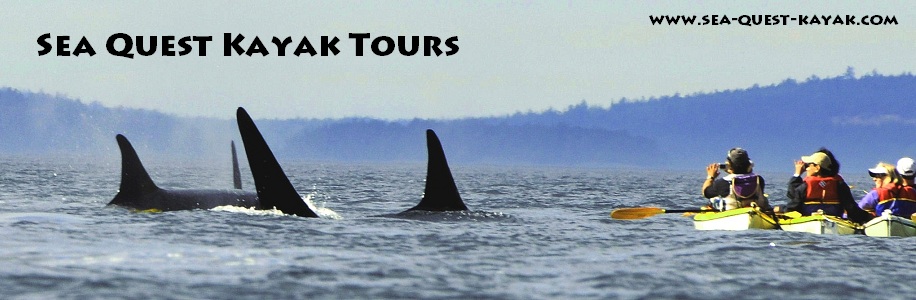 Sea Quest Kayak Tours | 2 Front St, Friday Harbor, WA 98250, USA | Phone: (360) 378-5767