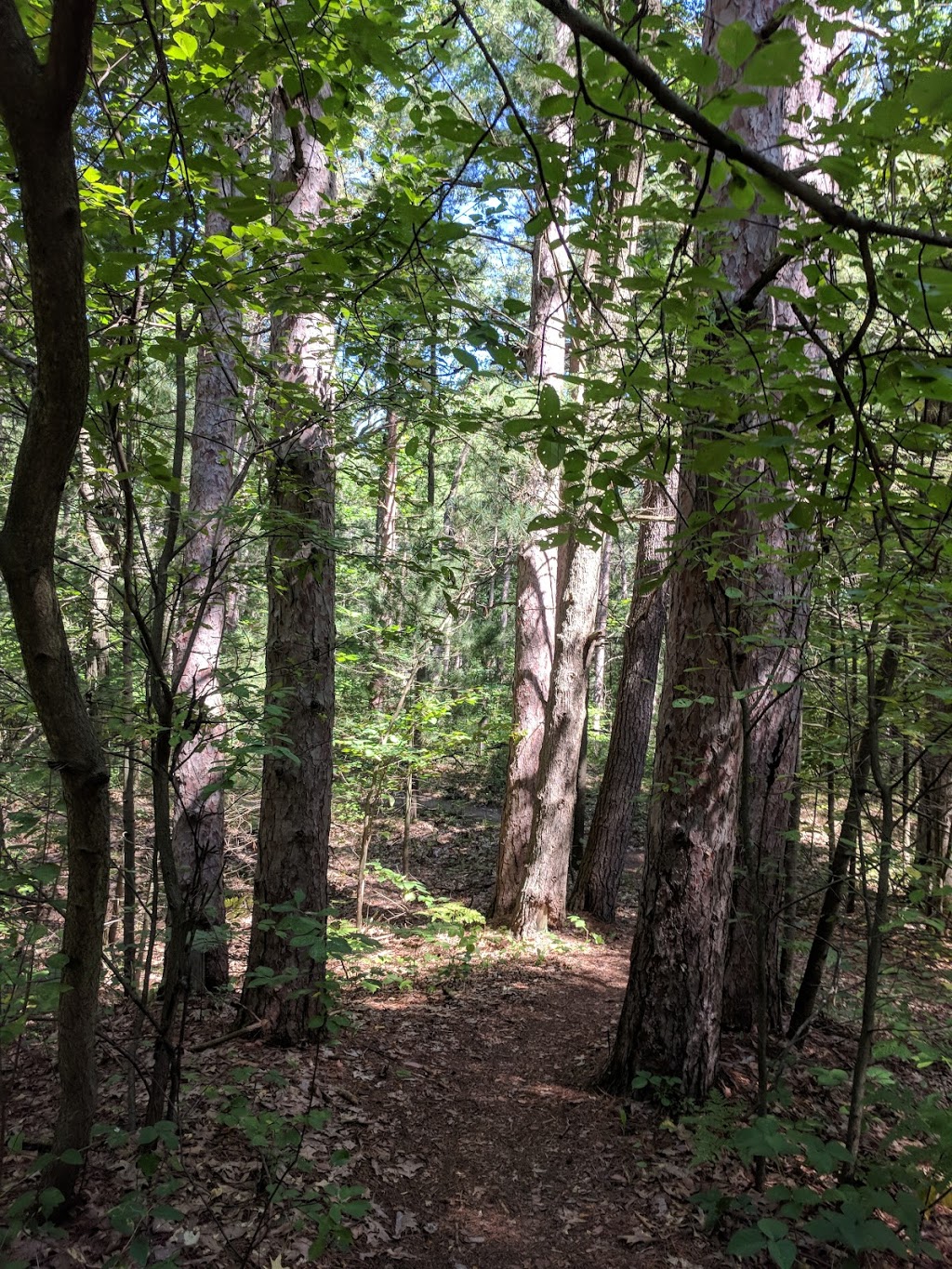 Bittersweet Trail | 26 Sideroad, Grand Bend, ON N0M 1T0, Canada