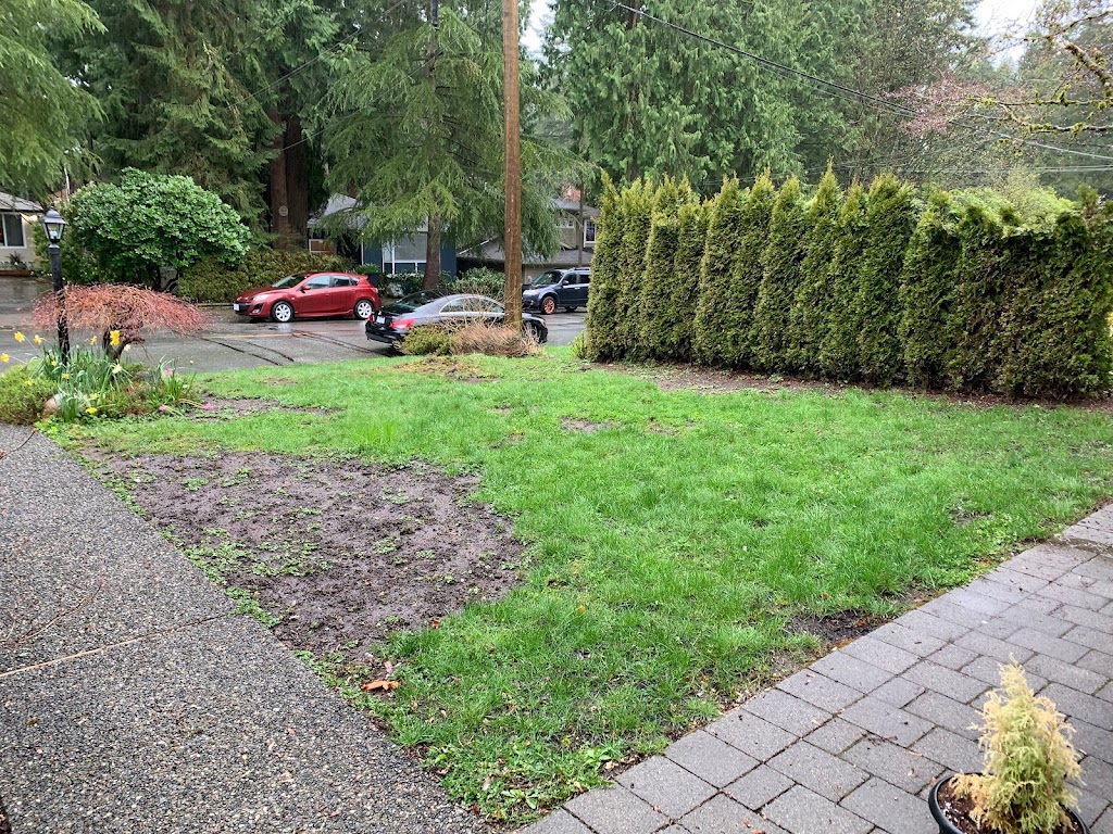 North Western Synthetic Grass | 5327 192 St #201, Surrey, BC V3S 8E5, Canada | Phone: (778) 242-8833