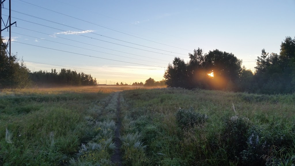 Chappel Marsh Conservation Area | Saskatoon, SK S0K 1V0, Canada | Phone: (866) 254-3825