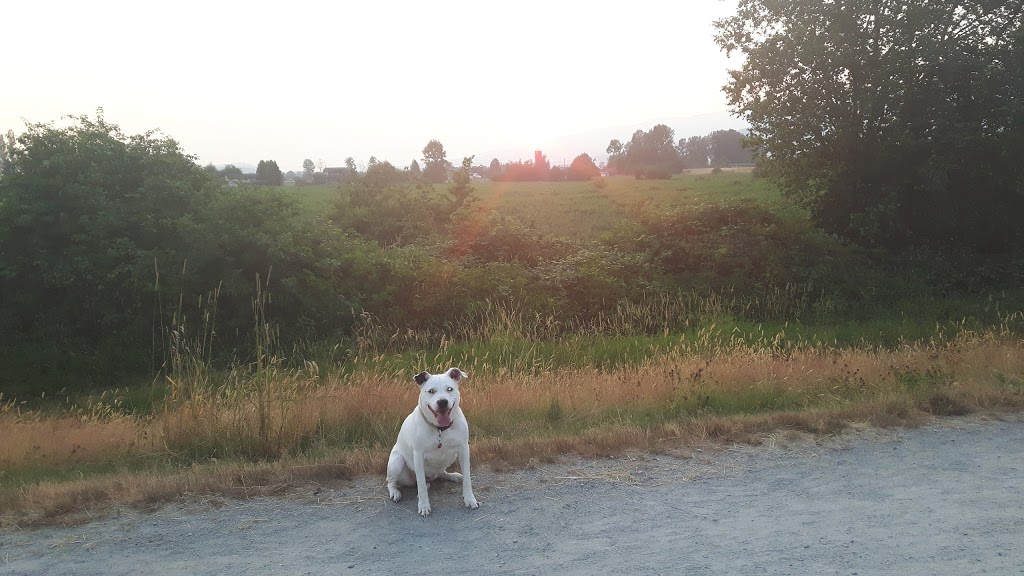 Maple Ridge Dyke Dog Park | 3080 Trans Canada Trail, Maple Ridge, BC V4R 2R9, Canada