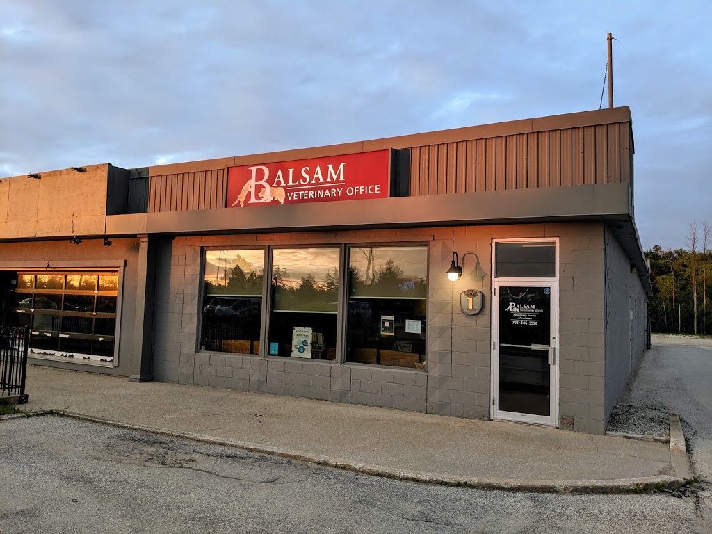 Balsam Veterinary Office | 20 Balsam St unit #1, Collingwood, ON L9Y 4H7, Canada | Phone: (705) 446-3556