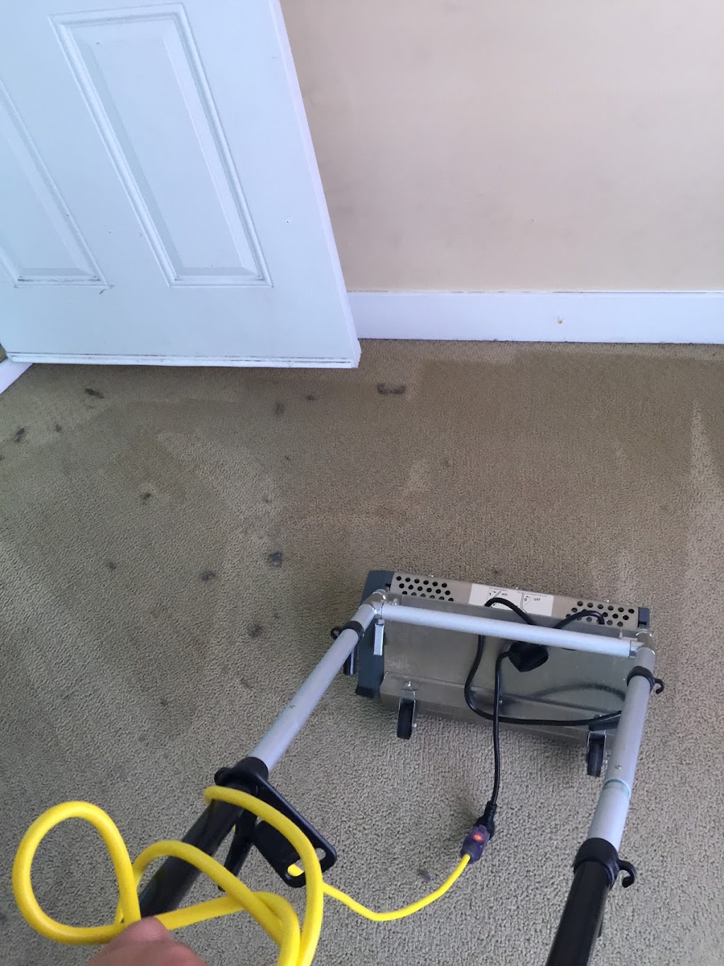 Lush Carpet Cleaning Surrey | 96 120 St, Surrey, BC V3V 4C1, Canada | Phone: (236) 833-6065