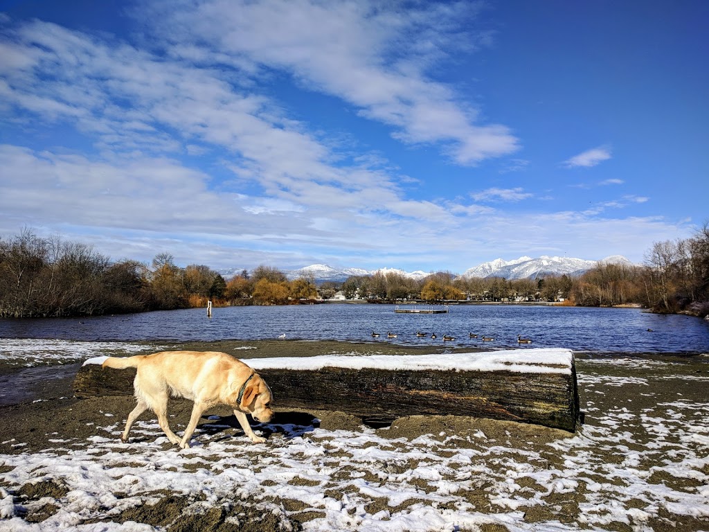 Trout Lake Beach | 2120 E 19th Ave, Vancouver, BC V5N 2J5, Canada | Phone: (604) 873-7000