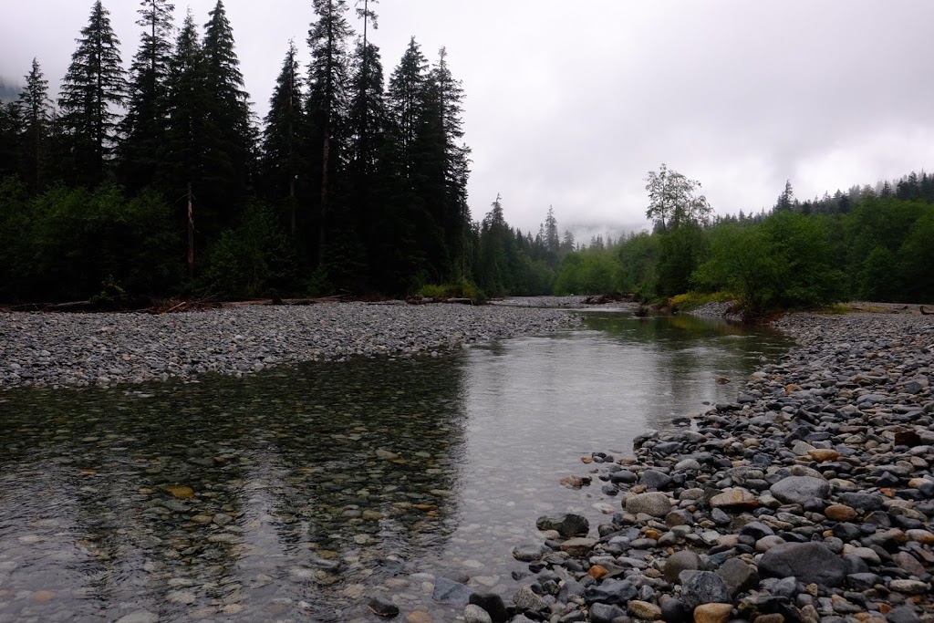 Halfmoon Beach | Fraser Valley F, BC V0M, Canada