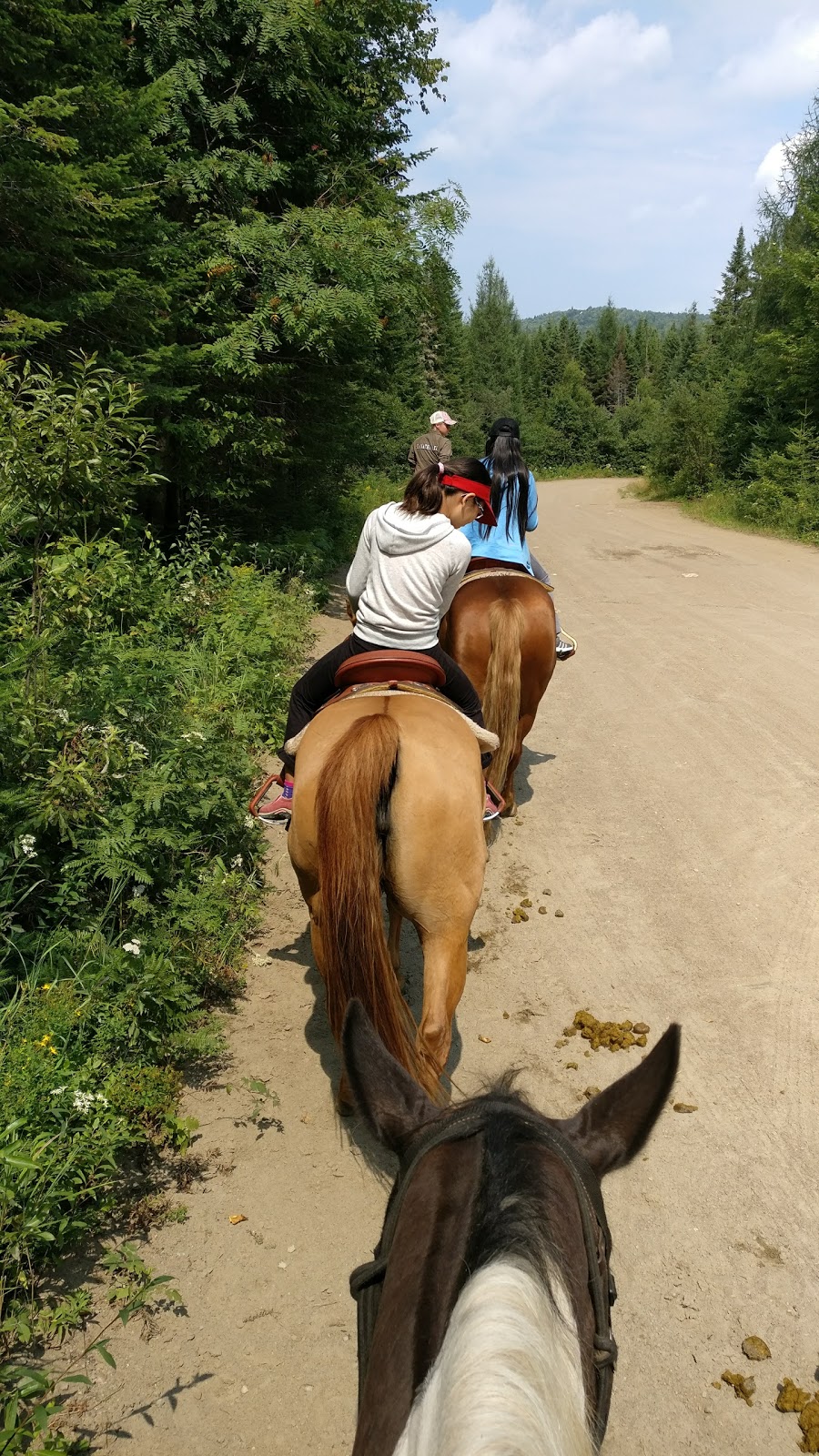 Centre d’activités nature Kanatha-Aki Traîneau à Chiens Équitati | 11 Chemin du Lac de lOrignal, Val-des-Lacs, QC J0T 2P0, Canada | Phone: (819) 321-1890