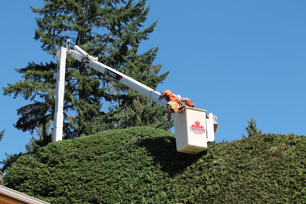 Treeworks Tree Services Ltd | 454 Maquinna Pl, Qualicum Beach, BC V9K 1B3, Canada | Phone: (250) 752-5544