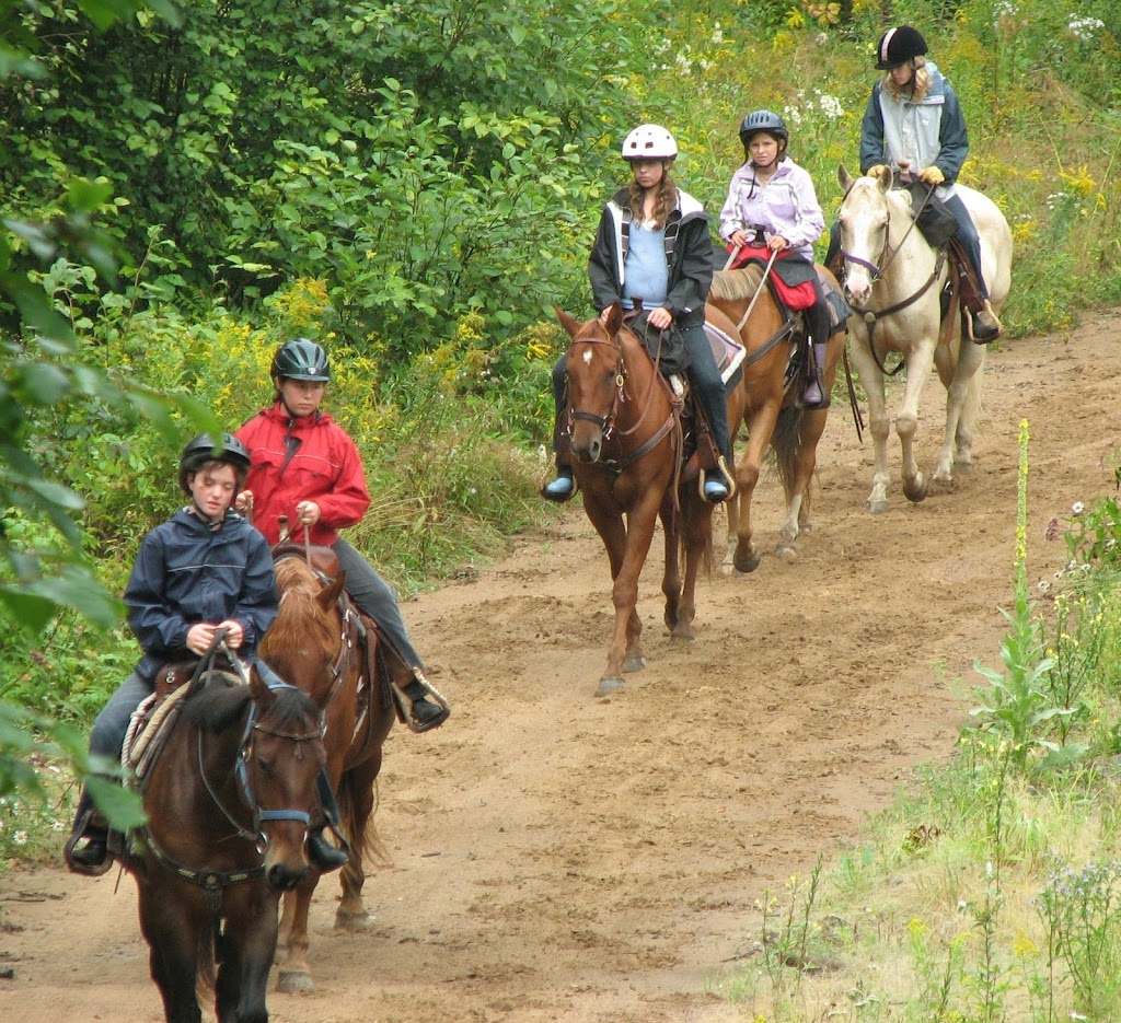 Highland Wilderness Tours | 239 E Lake Rd, Maynooth, ON K0L 2S0, Canada | Phone: (613) 334-9105