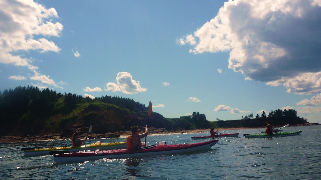 Coastal Spirit Expeditions | Cape John harbour, River John, NS B0K 1N0, Canada | Phone: (902) 351-2283