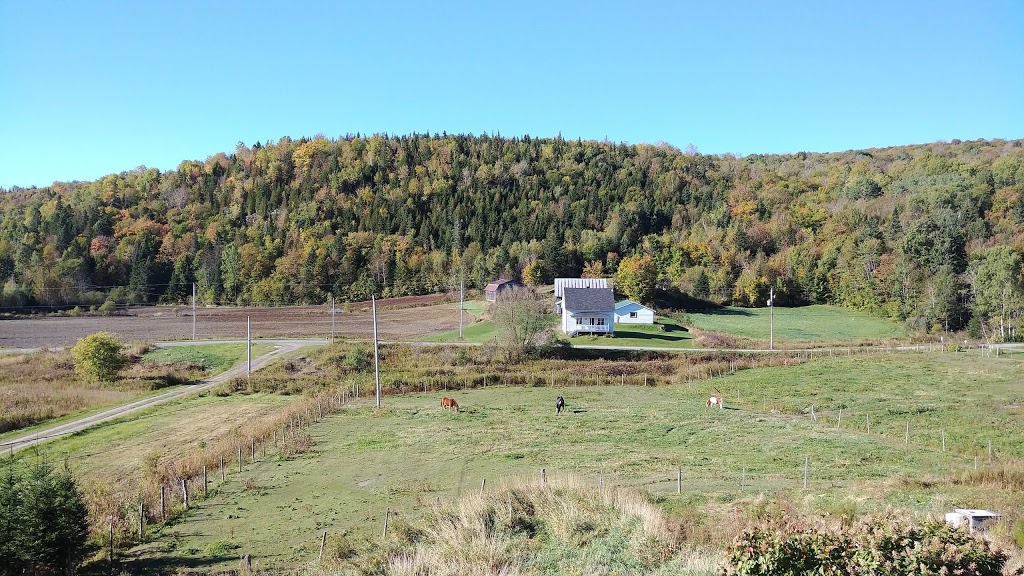 Le Canard Médeau | 2350 Rang Saint Olivier, Saint-Jean-des-Piles, QC G0X 2V0, Canada | Phone: (819) 533-2377