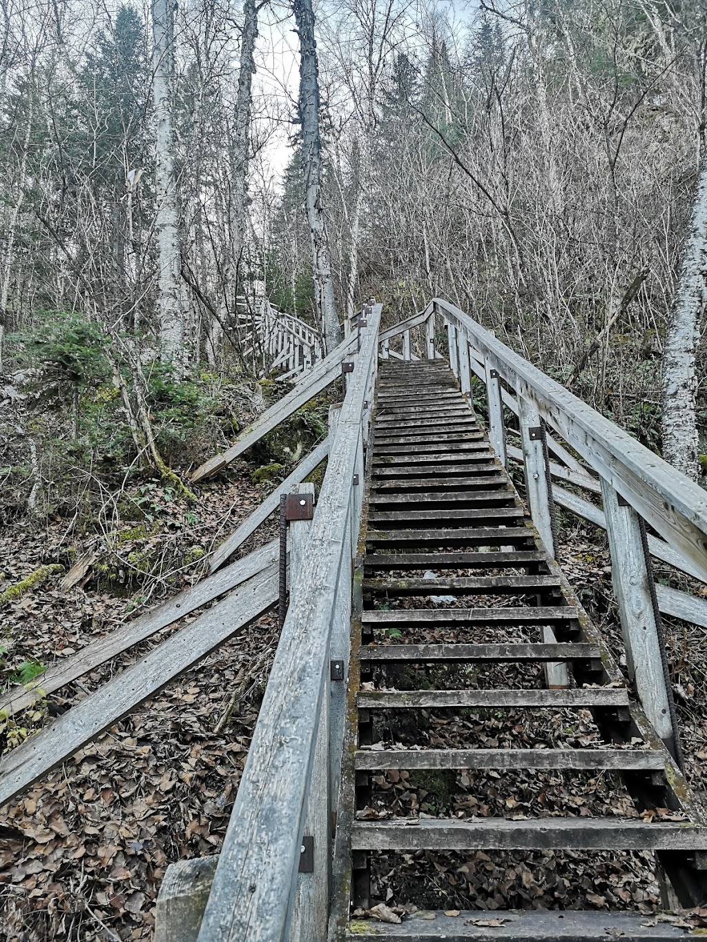 Sentier Du Promontoire Panoramique De La Baie Dominique | 44-210 Chem. Ferland, Saint-Michel-des-Saints, QC J0K 3B0, Canada | Phone: (450) 751-4219