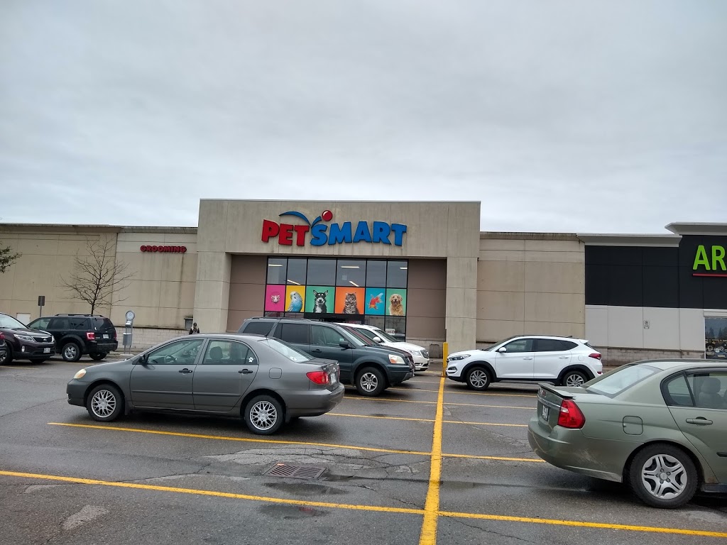 PetSmart | 18126 Yonge St Unit 3, Newmarket, ON L3Y 4V8, Canada | Phone: (905) 898-4557