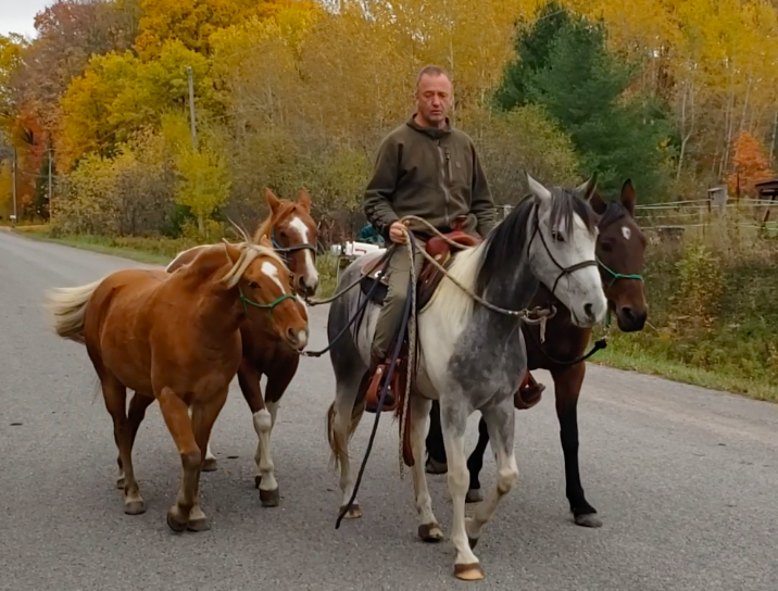 Unity Horsemanship | 32 Goodrich Rd, Codrington, ON K0K 1R0, Canada | Phone: (613) 438-9642