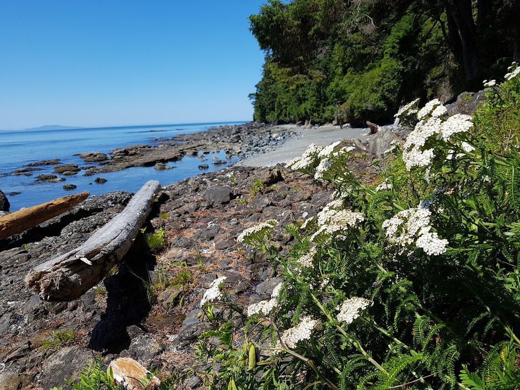 Juan de Fuca Trail Trailhead (Southeast / China Beach Terminus) | BC-14, Juan de Fuca, BC V0S, Canada