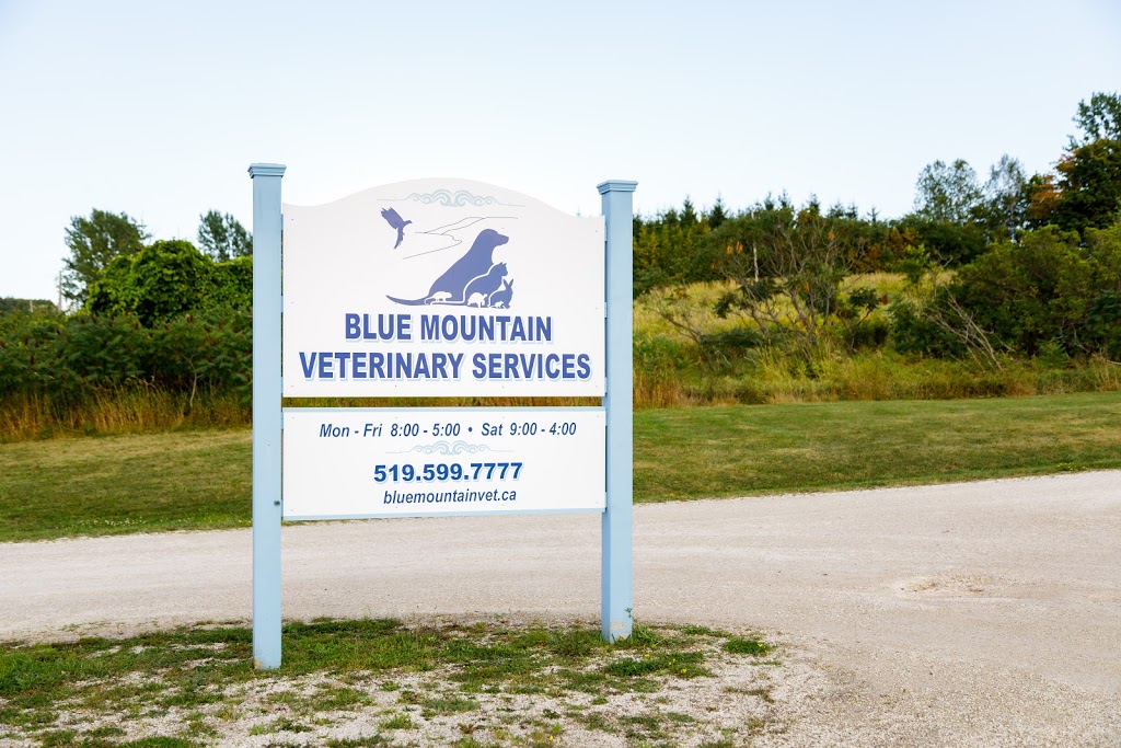 Blue Mountain Veterinary Services | 728380 Side Rd 21, Clarksburg, ON N0H 1J0, Canada | Phone: (519) 599-7777