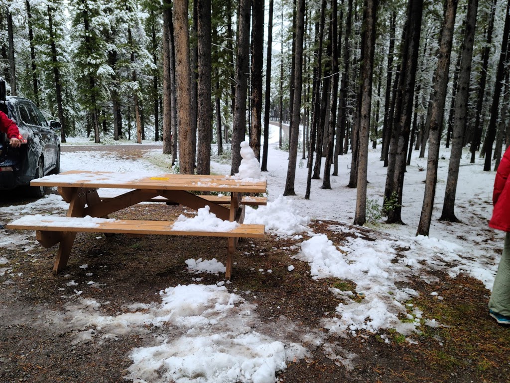 Little Elbow Campground | AB-66, Bragg Creek, AB T0L 0K0, Canada | Phone: (403) 949-3132